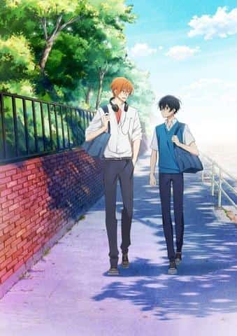 L'attrattiva e le recensioni di "Sasaki e Miyano": una storia di formazione che i fan di BL devono vedere
